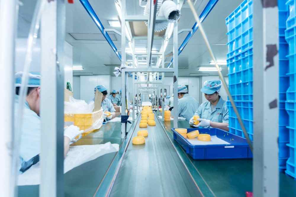 Comprehensive OEM & ODM Solutions